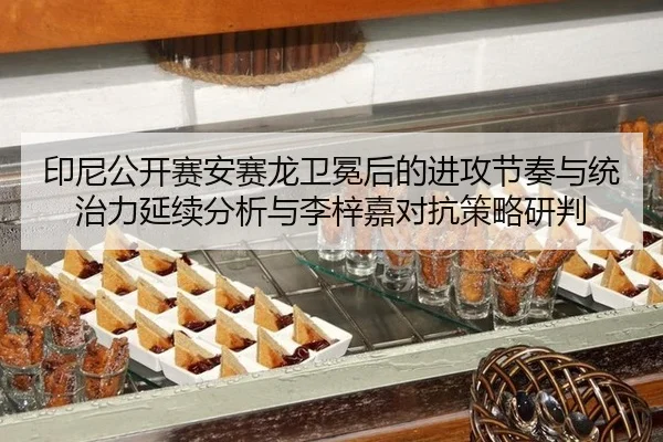 yin-ni-gong-kai-sai-an-sai-long-wei-mian-hou-de-jin-gong-jie-zou-yu-tong-zhi-li-yan-xu-fen-xi-yu-li-zi-jia-dui-kang-ce-2-170.jpg