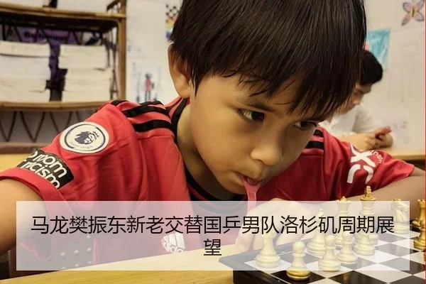 马龙樊振东新老交替国乒男队洛杉矶周期展望